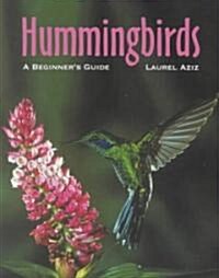 Hummingbirds: A Beginners Guide (Paperback)