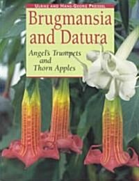 Brugmansia and Datura (Paperback)