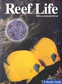 Reef Life (Paperback)