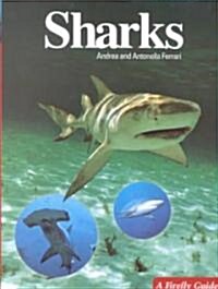 Sharks (Paperback)