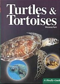 Turtles and Tortoises (Paperback)