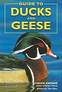 Guide to Ducks and Geese (Paperback)
