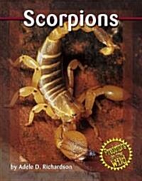 Scorpions (Library Binding)