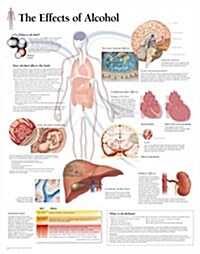 The Effects of Alcohol Chart: Laminated Wall Chart (Other)