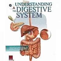 Q&A Understanding the Digestive System (Other)