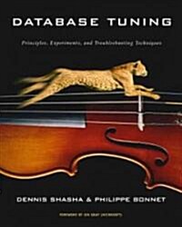 Database Tuning: Principles, Experiments, and Troubleshooting Techniques (Paperback)