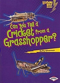 Can You Tell a Cricket from a Grasshopper? (Paperback)