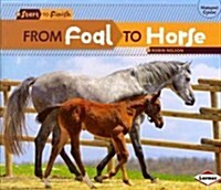 From Foal to Horse (Paperback)