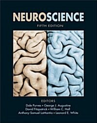 [중고] Neuroscience (Hardcover, 5, Revised)