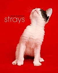 Strays (Paperback)