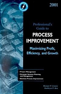Professionals Guide to Process Improvement 2001 (Paperback, CD-ROM)