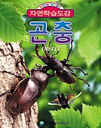 [중고] 자연학습도감 곤충