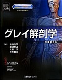 グレイ解剖學 (大型本)