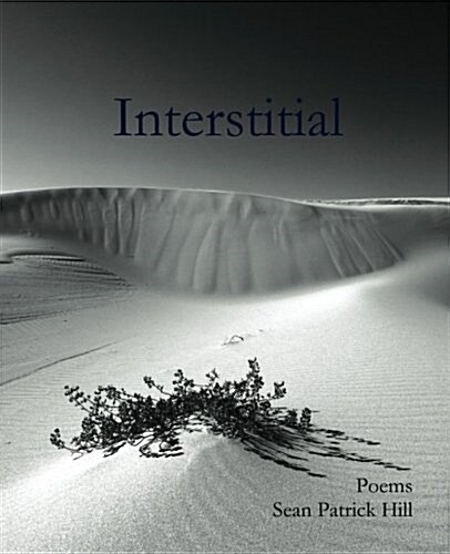 Interstitial (Paperback)