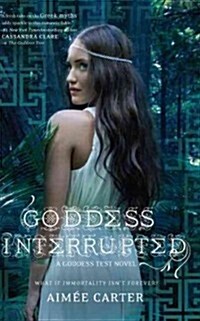 Goddess Interrupted (Paperback)