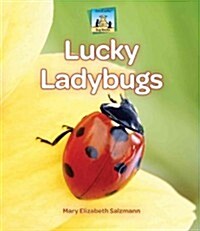 Lucky Ladybugs (Library Binding)