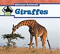 Giraffes (Library Binding)