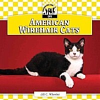 American Wirehair Cats (Library Binding)