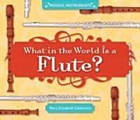 What in the World Is a Flute? (Library Binding)