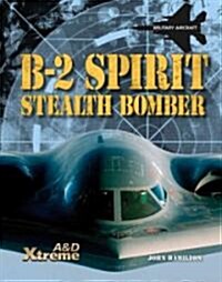 B-2 Spirit Stealth Bomber (Library Binding)