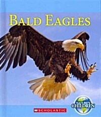 Bald Eagles (Library Binding)