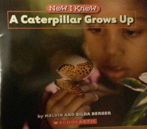 [중고] Now I Know A Caterpillar Grows Up (paperback)