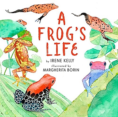 A Frogs Life (Hardcover)