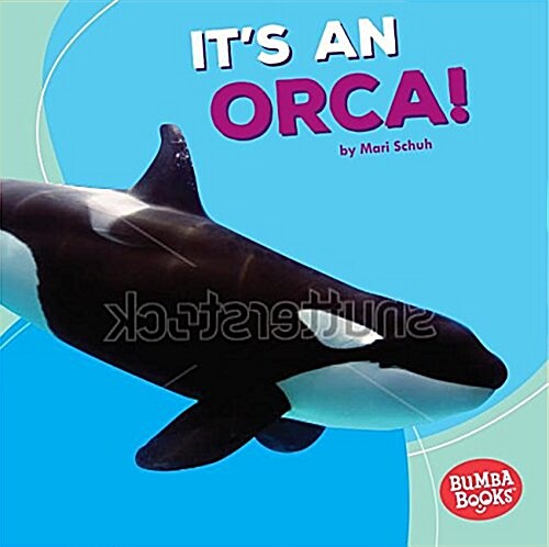 Its an Orca! (Paperback)