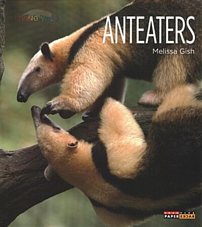 Anteaters (Paperback)