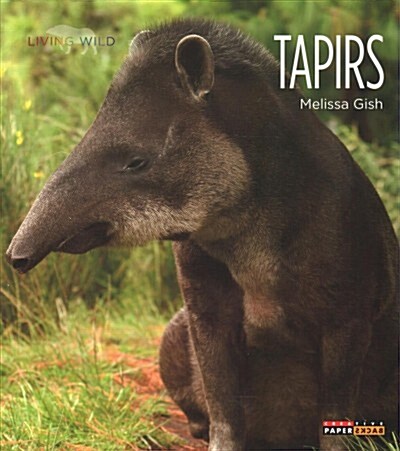 Tapirs (Paperback)