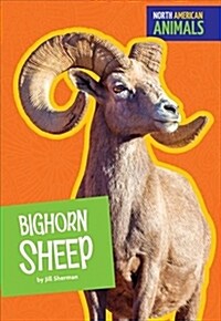 Bighorn Sheep (Paperback)