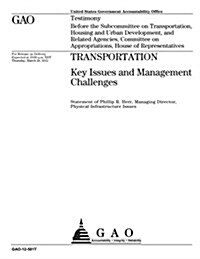 Transportation: Key Issues and Management Challenges (Paperback)