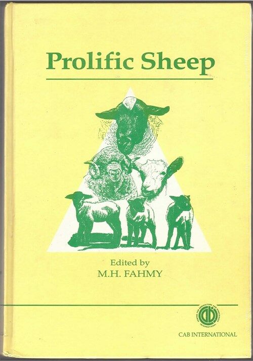 [중고] Prolific Sheep (Hardcover)