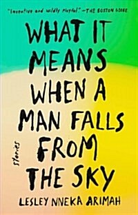 What It Means When a Man Falls from the Sky: Stories (Paperback)