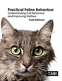 Practical Feline Behaviour : Understanding Cat Behaviour and Improving Welfare (Paperback)