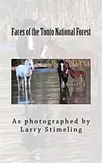 Faces of the Tonto National Forest (Paperback)