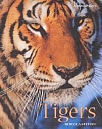 Tigers (Library Binding)