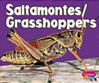 Saltamontes/Grasshoppers (Library Binding)