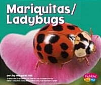 Mariquitas/Ladybugs (Library Binding)