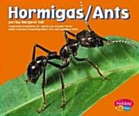 Hormigas/Ants (Library Binding)