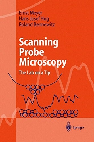 Scanning Probe Microscopy: The Lab on a Tip (Hardcover, 2004)
