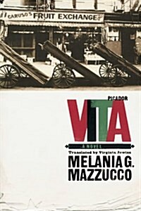 Vita (Paperback)
