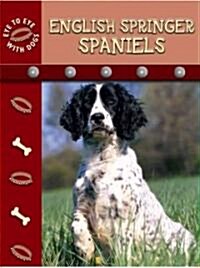 English Springer Spaniels (Library Binding)