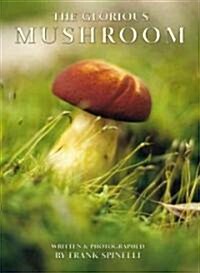 The Glorious Mushroom (Paperback)