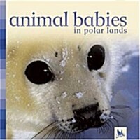 Animal Babies in Polar Lands (Board Book)