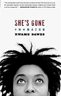 Shes Gone (Paperback)