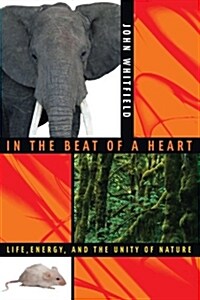 In the Beat of a Heart: Life, Energy, and the Unity of Nature (Hardcover)