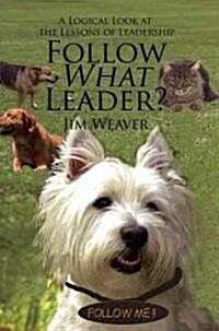 Follow What Leader?: A Logical Look at the Lessons of Leadership (Paperback)