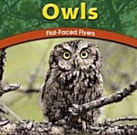 Owls: Flat-Faced Flyers (Library Binding)