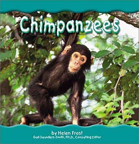 Chimpanzees (Library)